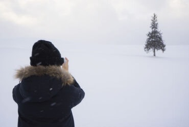 【北海道】2015年自駕遊美瑛，被美瑛的冬天美景給療癒了!