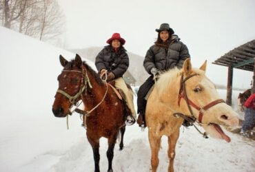 【北海道小樽】騎白馬遊走白色森林，登上無人絕景雪山@春香ホースランチ