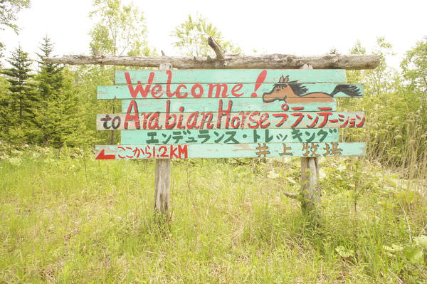 20241016_iji9v