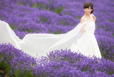 日本北海道北國拍婚紗＊薰衣草田婚紗照＊經驗分享
