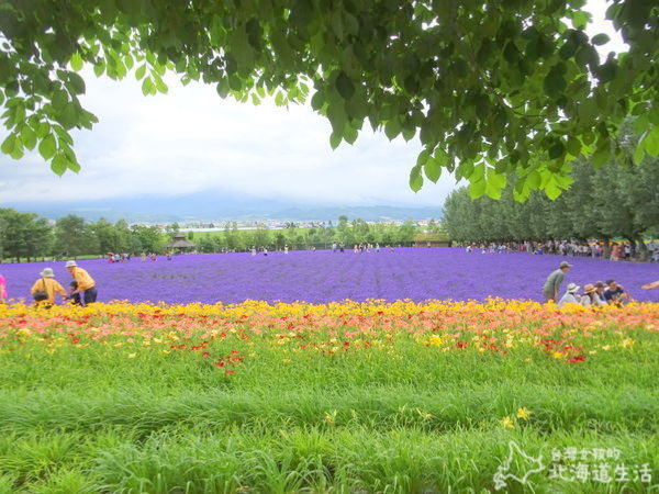 20241016_qjpty
