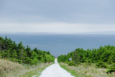 【北海道跳島】北緯45度之稚内、禮文、利尻第一天行程