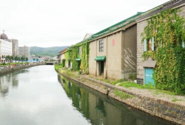 【北海道小樽】小樽運河食堂｜小樽唯一的螃蟹吃到飽餐廳
