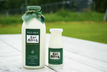 【北海道中標津】養老牛放牧牛乳｜山本社長獨家採訪