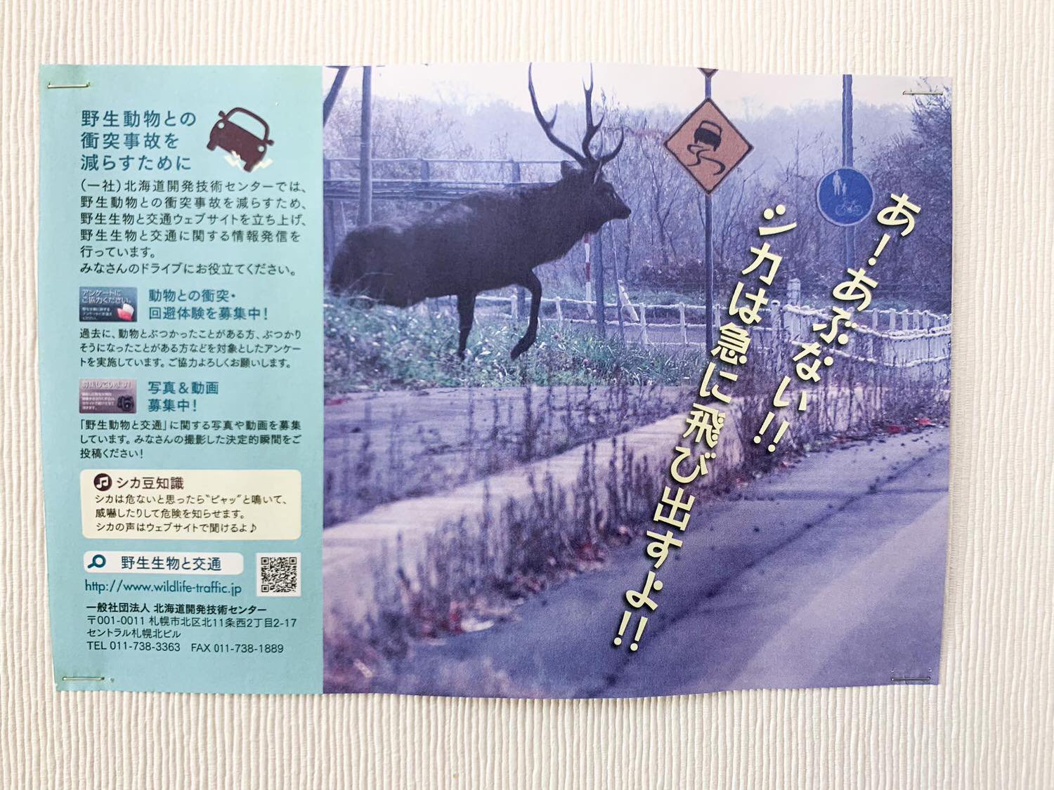 20241016_ivedl