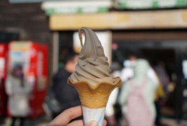 北海道函館該怎麼玩？定番行程總整理。